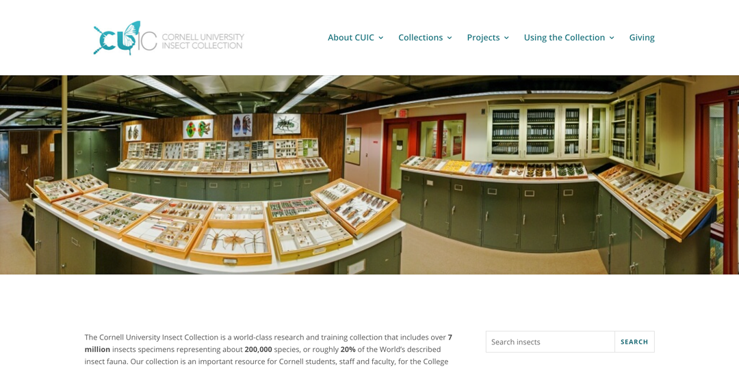 CUIC Website